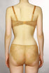 Ambra Brief